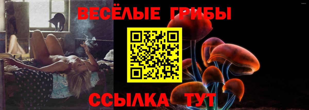 Псилоцибиновые грибы мухоморы  Вход с VPN  Псилоцибиновые грибы Psilocybe  Калуга 